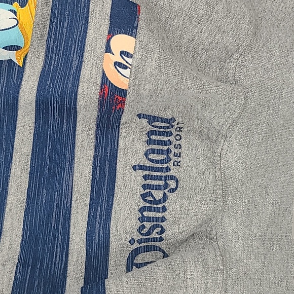 Disneyland resort 2020 crewneck sweatshirt gray small unisex - Picture 2 of 8
